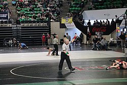 IMG_1563.JPG