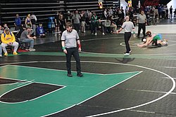 IMG_1593.JPG