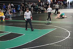 IMG_1594.JPG
