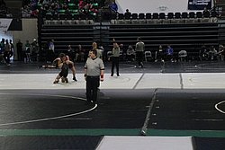 IMG_1598.JPG