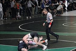 IMG_1784.JPG