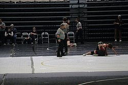 IMG_1981.JPG