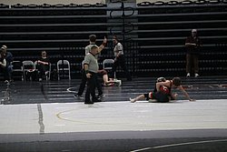 IMG_1982.JPG