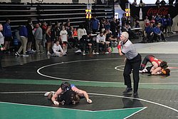 IMG_2027.JPG