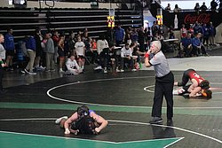IMG_2028.JPG