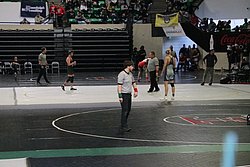 IMG_2035.JPG