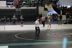 IMG_2037.JPG