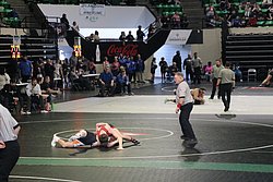IMG_2040.JPG