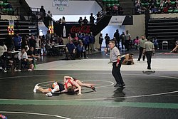 IMG_2042.JPG