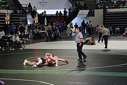 IMG_2043.JPG