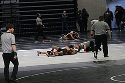 IMG_2092.JPG
