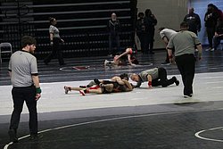 IMG_2095.JPG