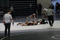 IMG_2097.JPG