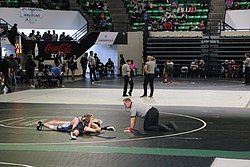 IMG_2102.JPG