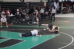 IMG_2130.JPG