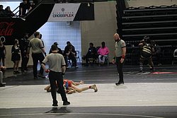 IMG_2141.JPG
