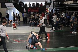 IMG_2213.JPG