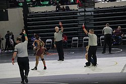 IMG_2246.JPG