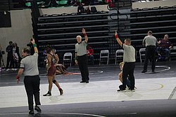 IMG_2247.JPG