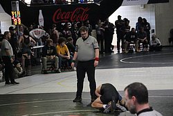IMG_2254.JPG
