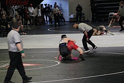 IMG_2391.JPG