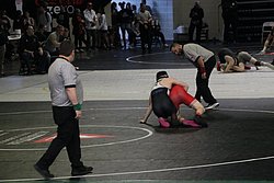 IMG_2392.JPG