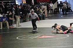 IMG_2396.JPG
