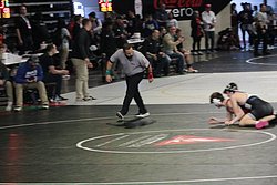 IMG_2397.JPG