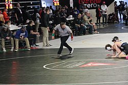 IMG_2398.JPG