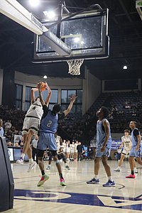 IMG_4767.JPG