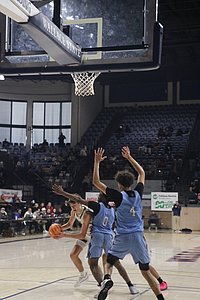 IMG_4915.JPG