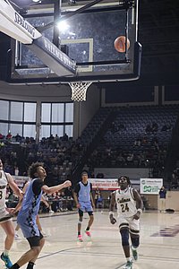 IMG_4959.JPG